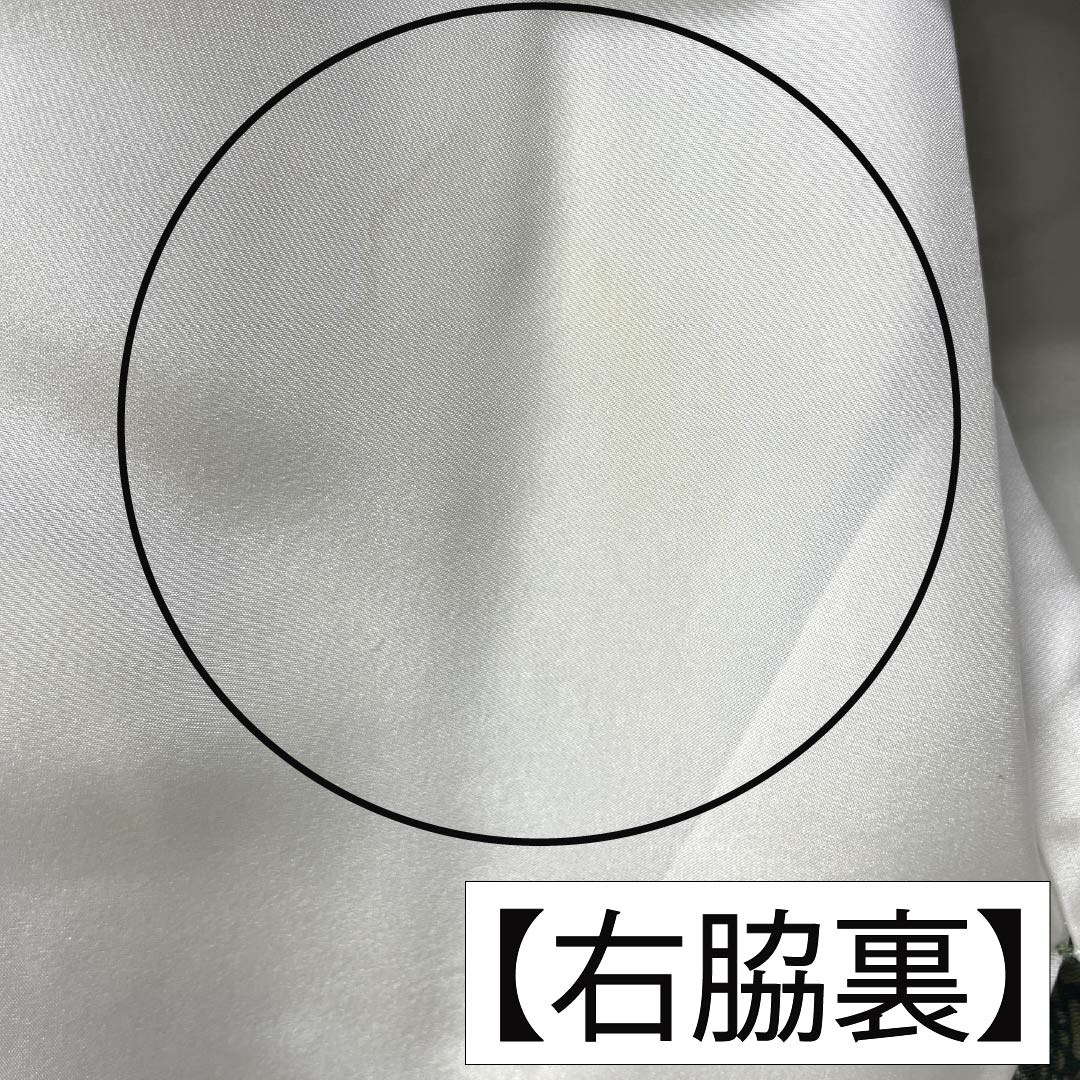 小紋 正絹 Aランク 身丈155.5cm 裄丈64cm 袷 鉄色(てついろ) 江戸小紋 南部幸雄 菊 割付文様 緑系 1115007243319