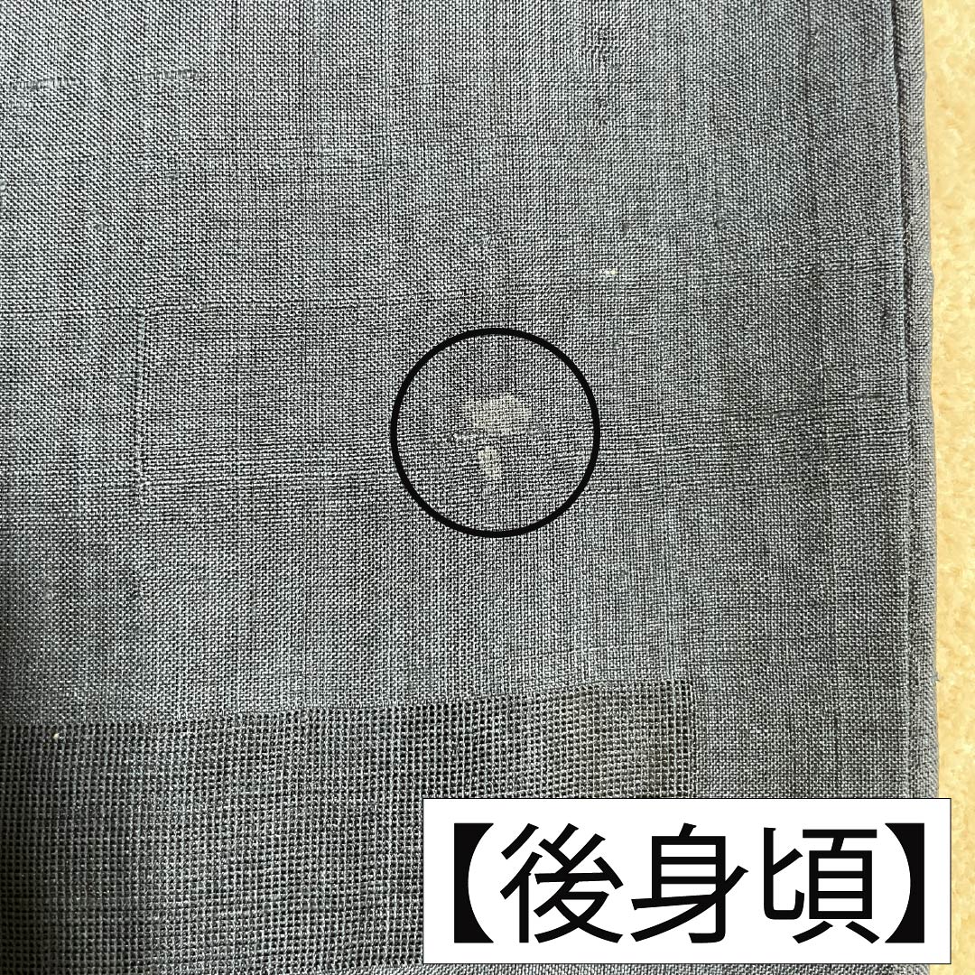 Summer Silk Iromuji (Solid Color Kimono) B Rank, Length 161cm, Sleeve-to-Sleeve 65.5cm, Tsumugi Fabric, Mon-sha (Gauze with Woven Patterns), Sha (Gauze), Black-ish, 1132003824410