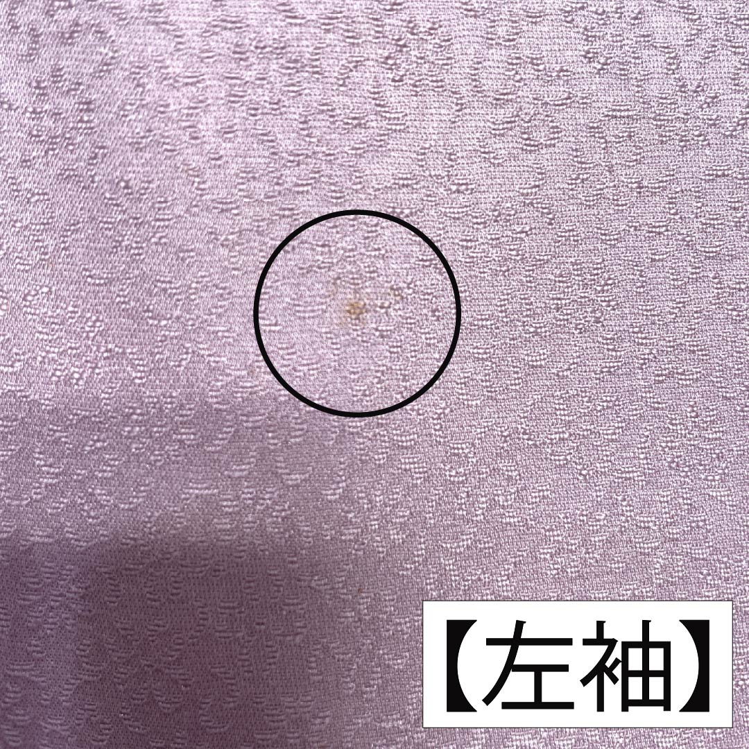 訪問着 正絹 Bランク 袷 身丈165.5cm 裄丈67.5cm 淡紅藤色(うすべにふじいろ) 付下げ 草花 紫系 1112007404520