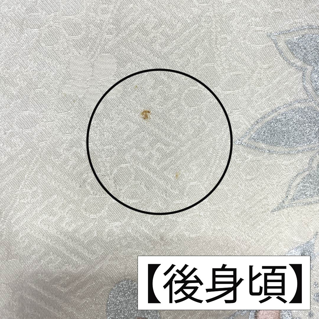訪問着 正絹 Bランク 袷 身丈161cm 裄丈64.5cm 絞り 銀駒刺繍 重ね衿付き 紗綾形 笹 草花 モノトーン 1112007344427