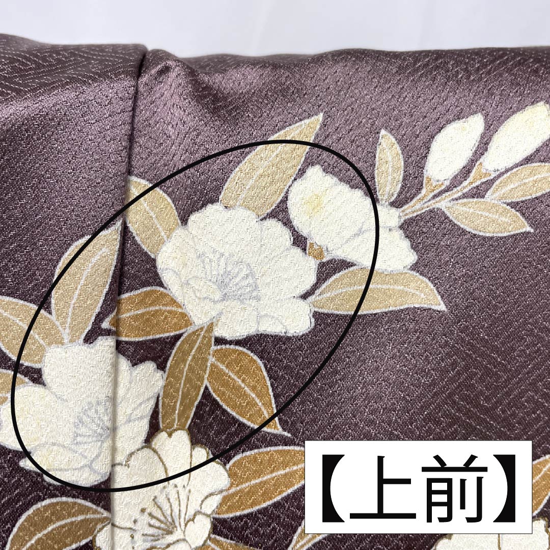 Formal kimono, pure silk, rank B, lined, length 164cm, sleeve to sleeve 64.5cm, reddish gray, Kyo-Yuzen, one crest, plants, purple tones, 1112007044420
