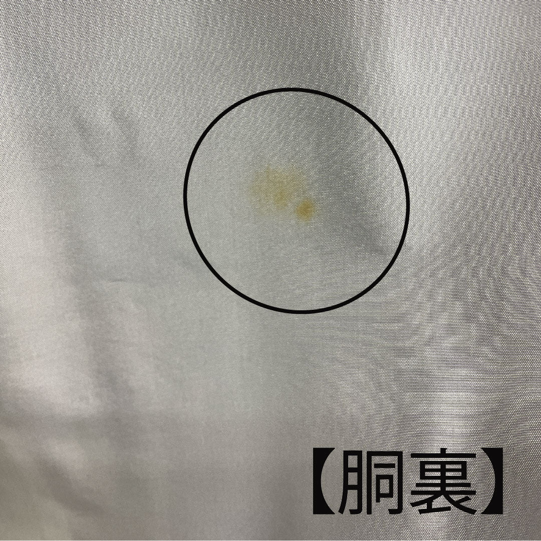 Black Tomesode, Length 155.5cm, Sleeve Length 61.5cm, Awase, Kyo-Yuzen, Crane, Katabami, Pure Silk, B Rank, Five Crests, Black, 1111000344310