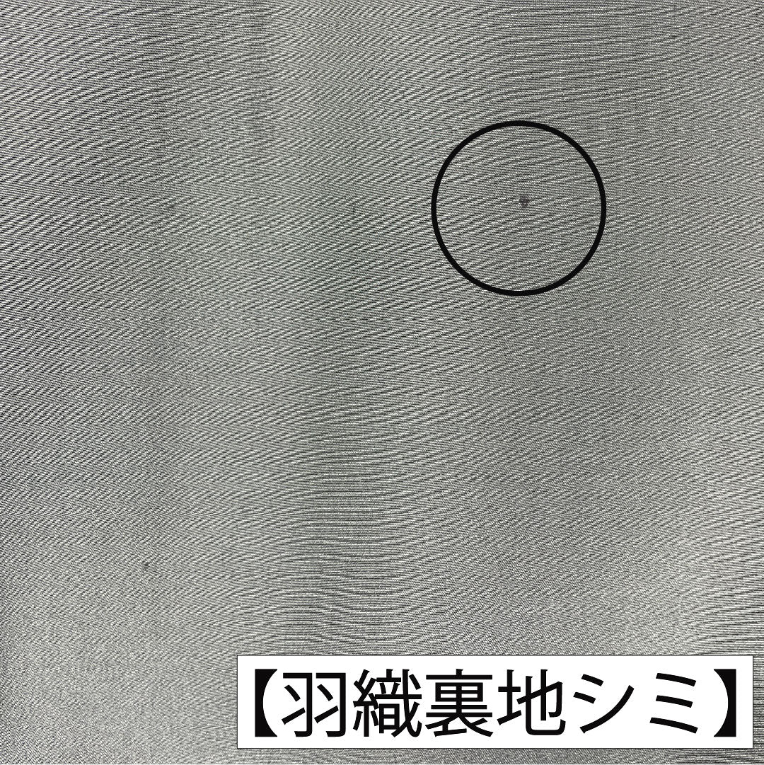 男物 正絹 Aランク 身丈139cm 裄丈67.5cm 大島紬 100亀甲 しつけ糸付き 袷 グレー系 1119001793322
