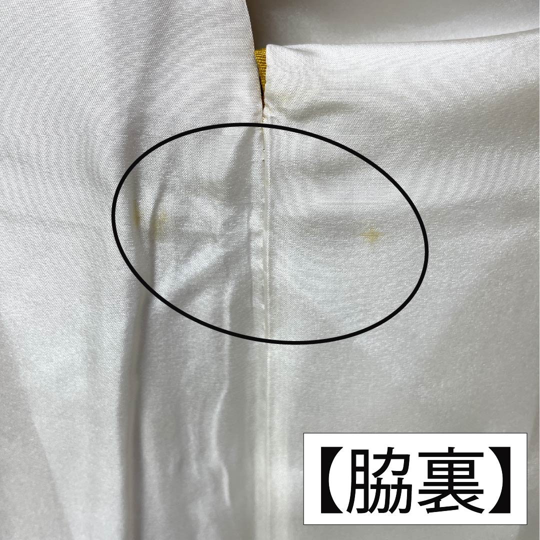 振袖 正絹 Aランク 身丈161.5cm 裄丈66cm 袷 山吹色(やまぶきいろ) 京紅型 宮崎染工 作家物 吉祥文様 牡丹 黄系 1113002513423
