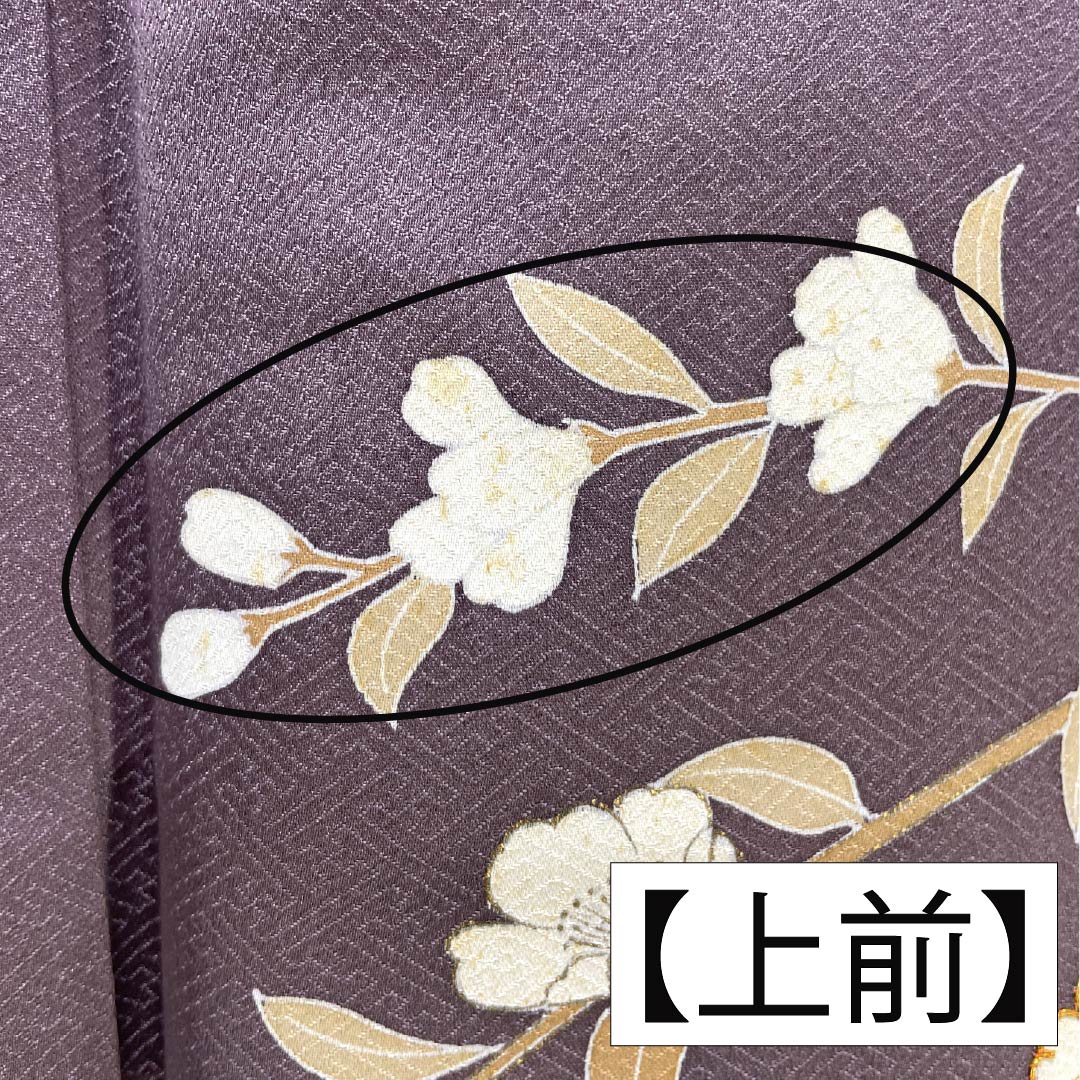 Formal kimono, pure silk, rank B, lined, length 164cm, sleeve to sleeve 64.5cm, reddish gray, Kyo-Yuzen, one crest, plants, purple tones, 1112007044420