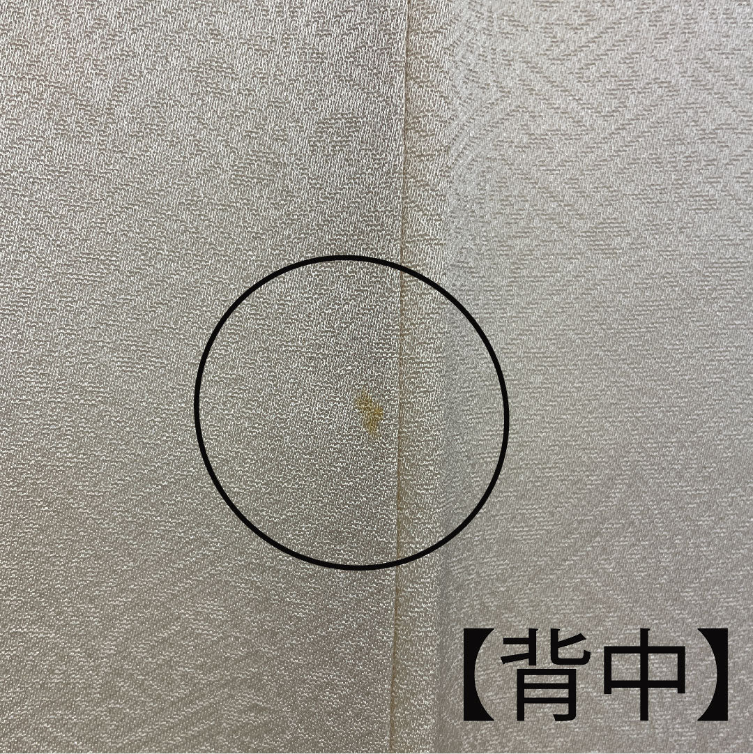 Colored Tomesode, Length 157cm, Sleeve Length 64cm, Lined, Tokyo Yuzen, Pure Silk, B Rank, Three Crests, Cream Color, 1111000284315