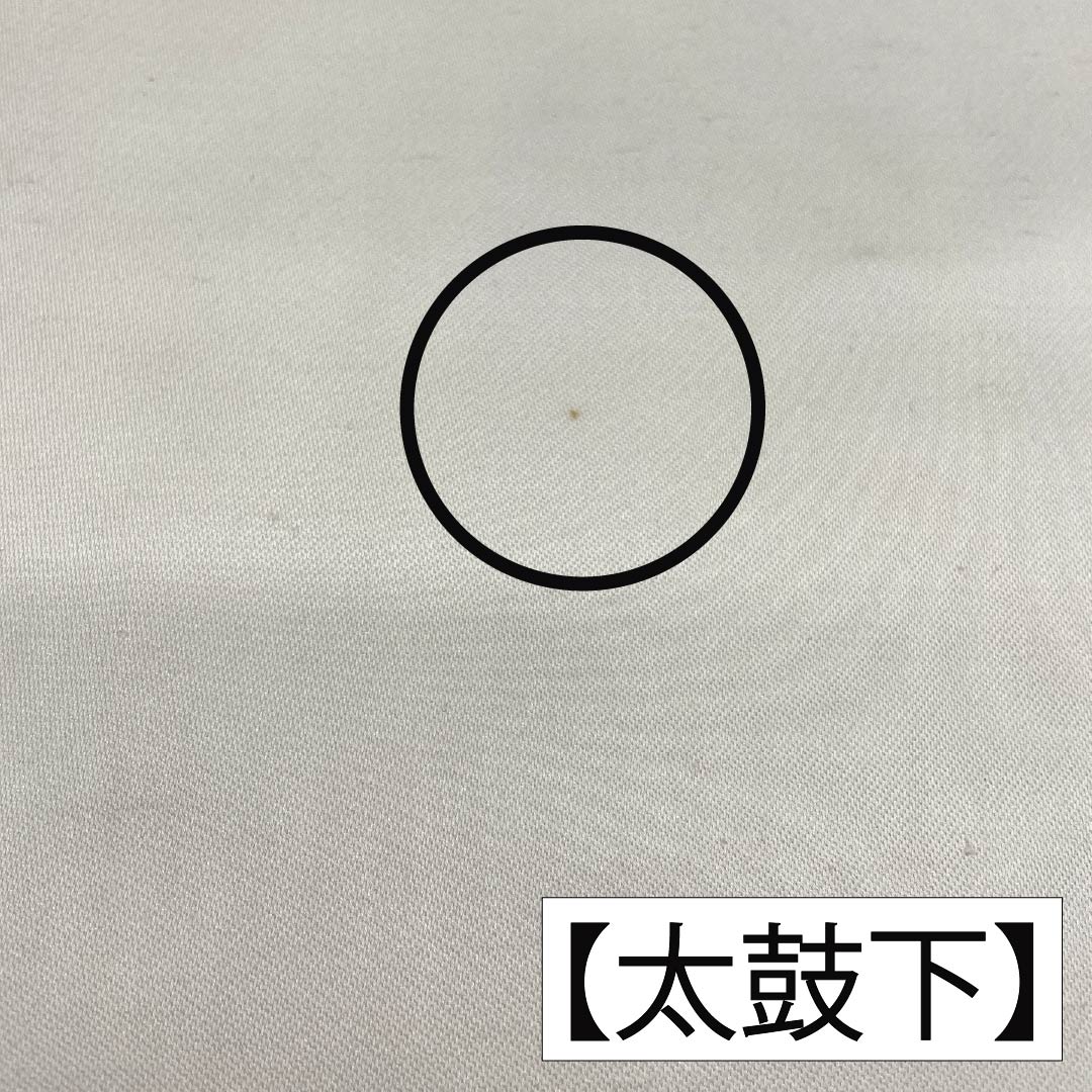 Nagoya Obi, Pure Silk, Grade A, Sazanka (Castle Flower) Pattern, Nishijin-ori Weave, Tsumugi Fabric, Length 363cm, Pointed Pattern, Casual, White, Item Number 1124010153311, Nagoya Style