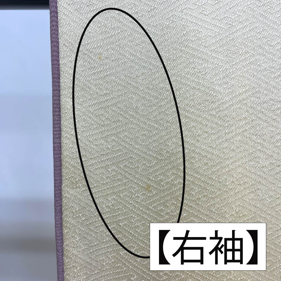 Visiting Kimono, Pure Silk, B-Rank, Lined, Length 154.5cm, Sleeve Length 64cm, Off-White (Kinari-Iro), Designed by Living National Treasure Yoshishige Fukuda, Single Crest, Ueda Family Paulownia Wood Embroidery, Cream, Product Number: 1112006824215
