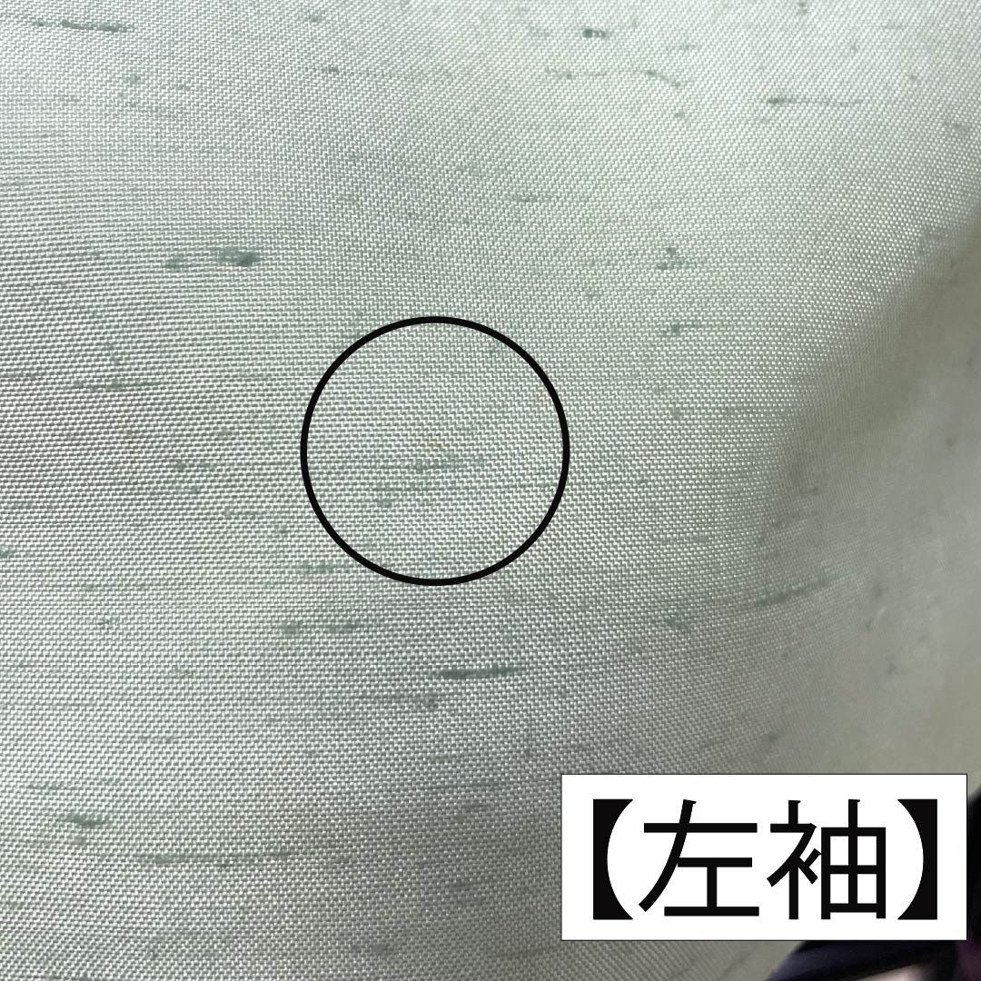 訪問着 正絹 Aランク 袷 身丈155cm 裄丈61cm 薄緑色（うすみどりいろ） 牛首紬 一つ紋 中陰蔦 草花 緑系 1112007533319