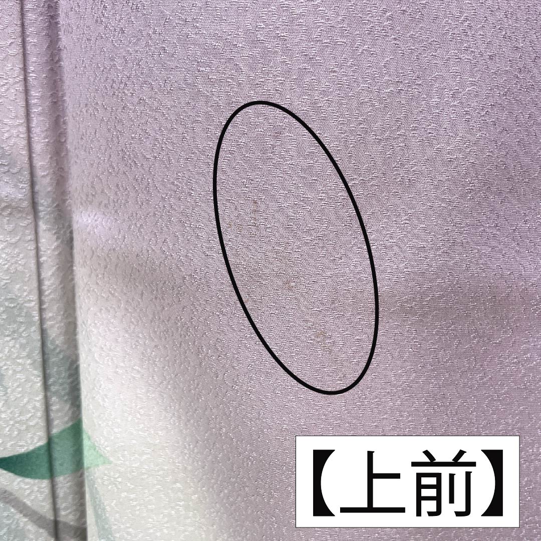訪問着 正絹 Bランク 袷 身丈165.5cm 裄丈67.5cm 淡紅藤色（うすべにふじいろ） 付下げ 草花 紫系 1112007404520