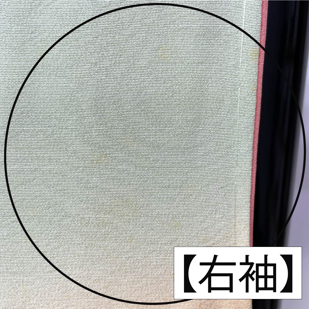 Visiting Kimono, Pure Silk, Grade B, Lined, Length 165cm, Sleeve Length 65.5cm, Light Green, Floral Design, Artist: Shuichi, Included Basting Thread, Green, Product Number: 1112006974519