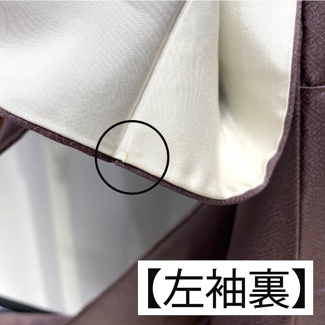 Formal kimono, pure silk, rank B, lined, length 164cm, sleeve to sleeve 64.5cm, reddish gray, Kyo-Yuzen, one crest, plants, purple tones, 1112007044420