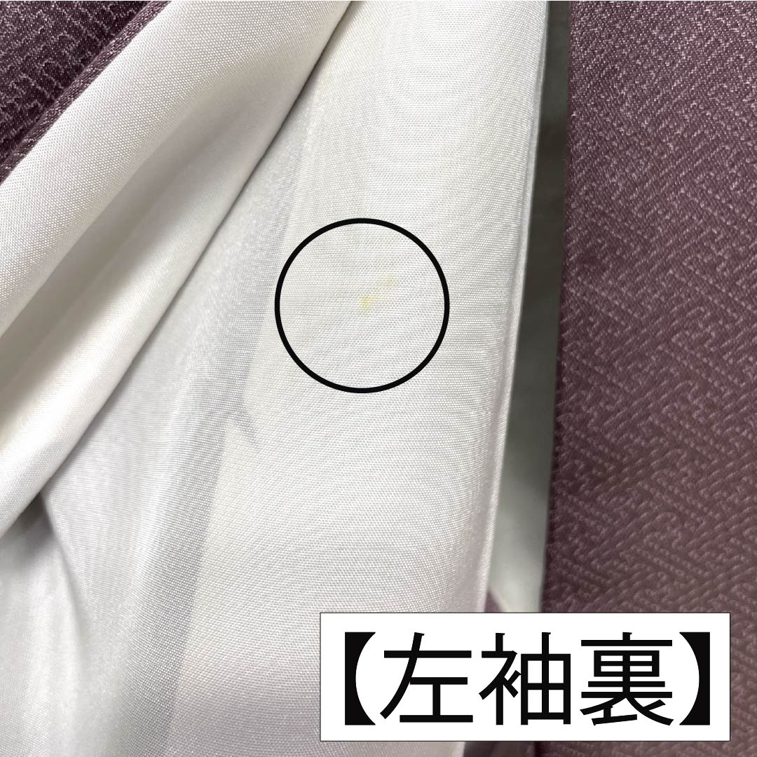 Formal kimono, pure silk, rank B, lined, length 164cm, sleeve to sleeve 64.5cm, reddish gray, Kyo-Yuzen, one crest, plants, purple tones, 1112007044420