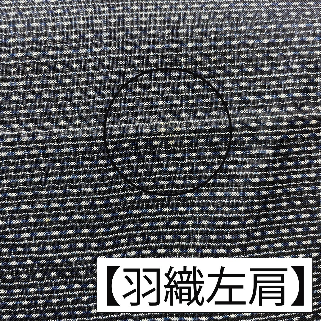 男物 正絹 Bランク 身丈140cm 裄丈65cm 青褐色（あおかちいろ） 横双絣 大島紬 アンサンブル 袷 紺系 1119001364418