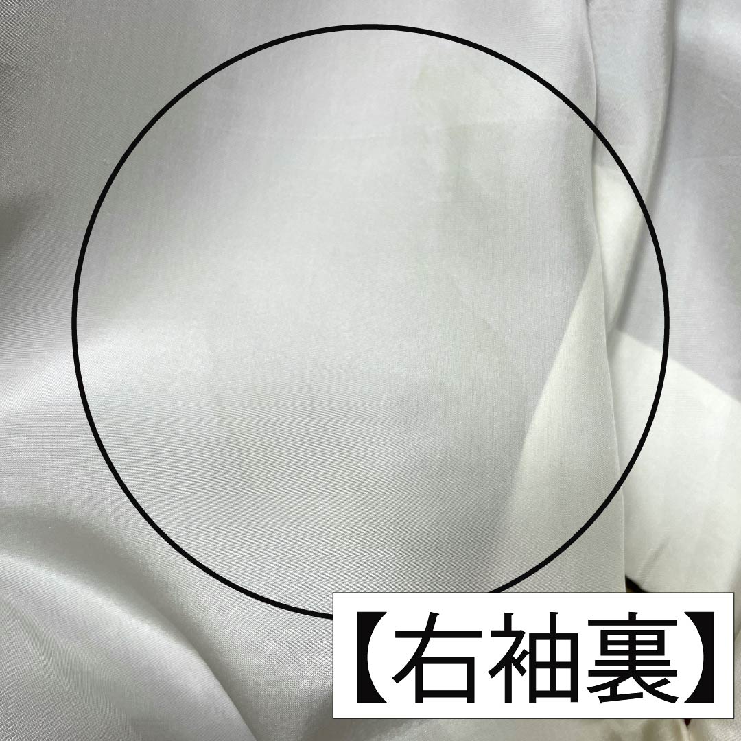 Formal kimono, pure silk, rank B, lined, length 164cm, sleeve to sleeve 64.5cm, reddish gray, Kyo-Yuzen, one crest, plants, purple tones, 1112007044420