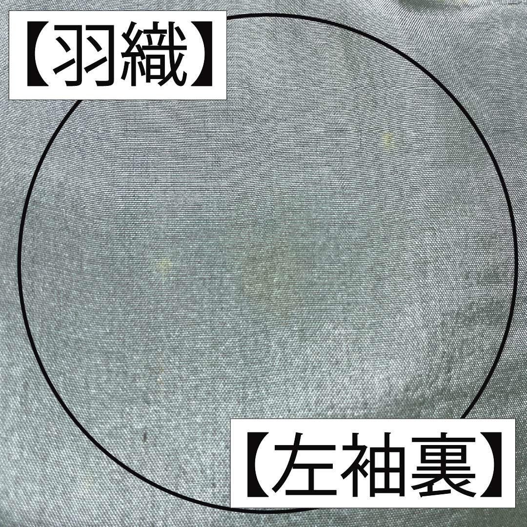 男物 正絹 Bランク 身丈140cm 裄丈65cm 青褐色（あおかちいろ） 横双絣 大島紬 アンサンブル 袷 紺系 1119001364418