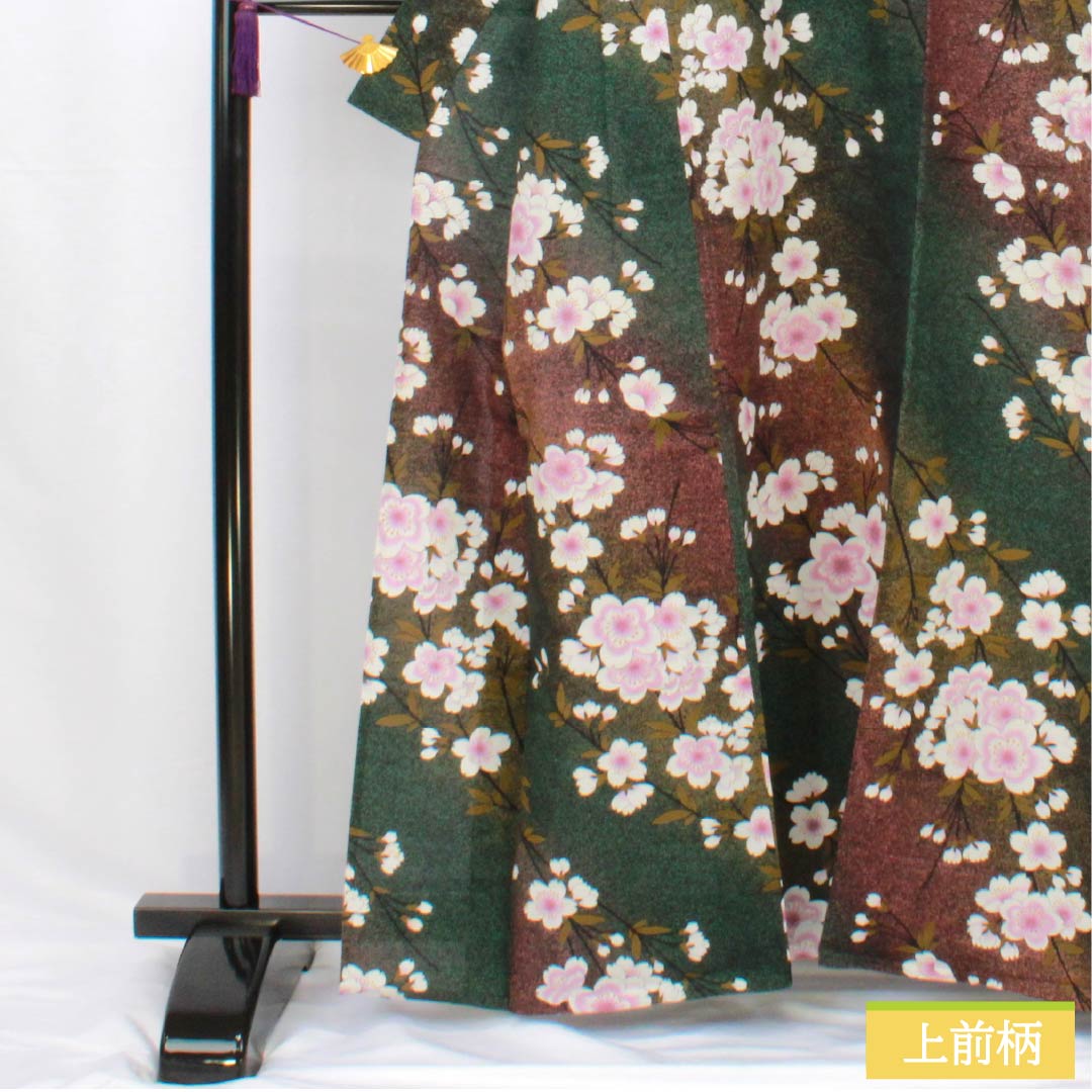 浴衣 木綿 身丈162cm 裄丈68cm Bランク 単衣 グラデーション系 萌葱色（もえぎいろ） 長春色（ちょうしゅんいろ） 桜 1118005984499