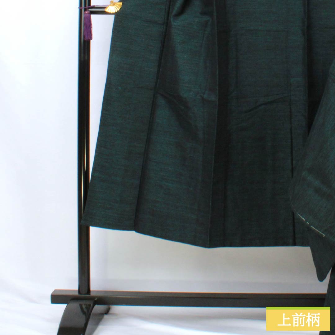 Men's Pure Silk A-Rank Kimono, Length 139cm, Sleeve Length 66cm, Korai Nando-iro (Korainando-iro) Tsumugi Fabric Ensemble, Abstract Pattern, Single-Layer, Green, Product Number: 1119001333319