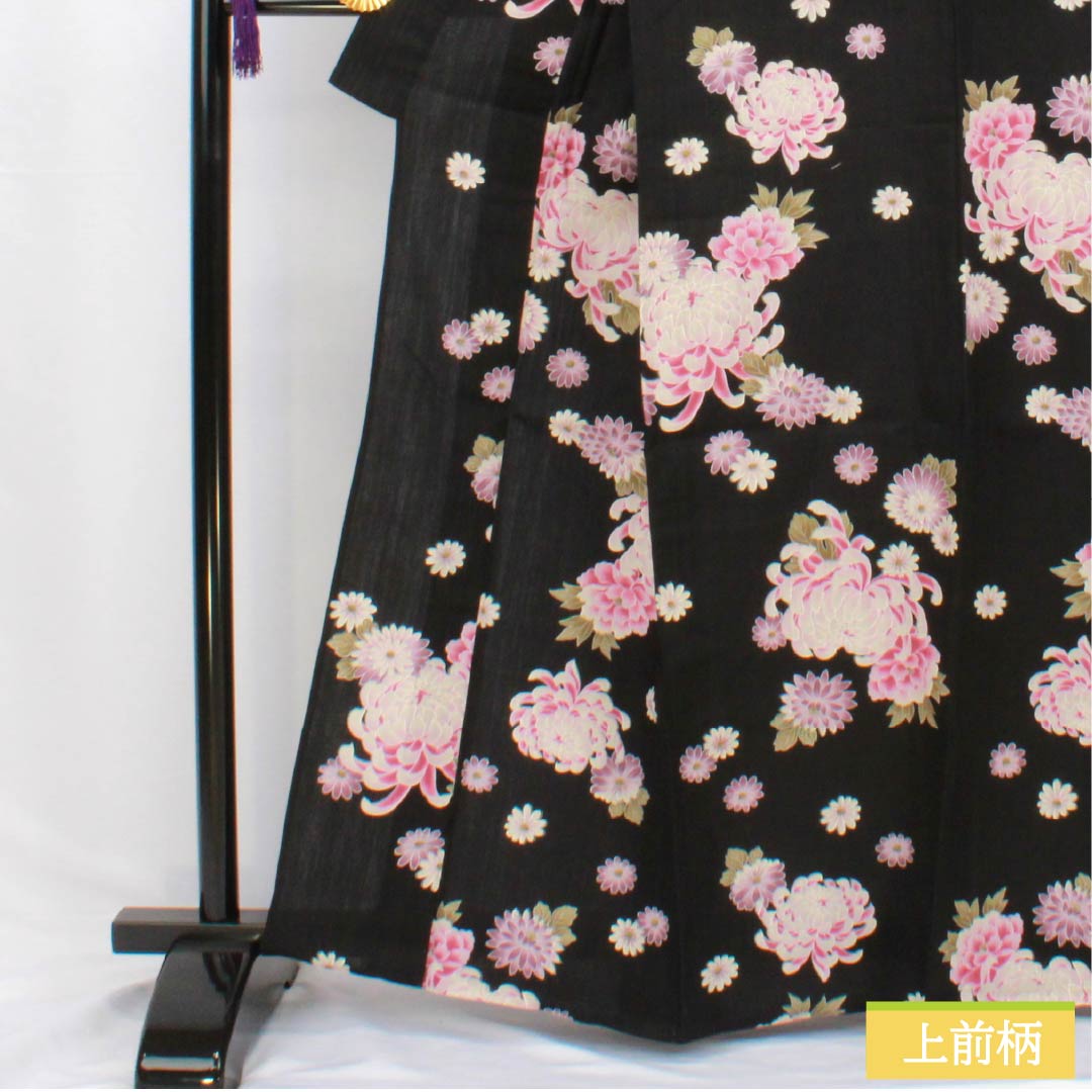 Cotton Yukata, Length 164cm, Sleeve Length 69.5cm, S Rank, Single Layer, Black, Chrysanthemum Design, 1118006282410