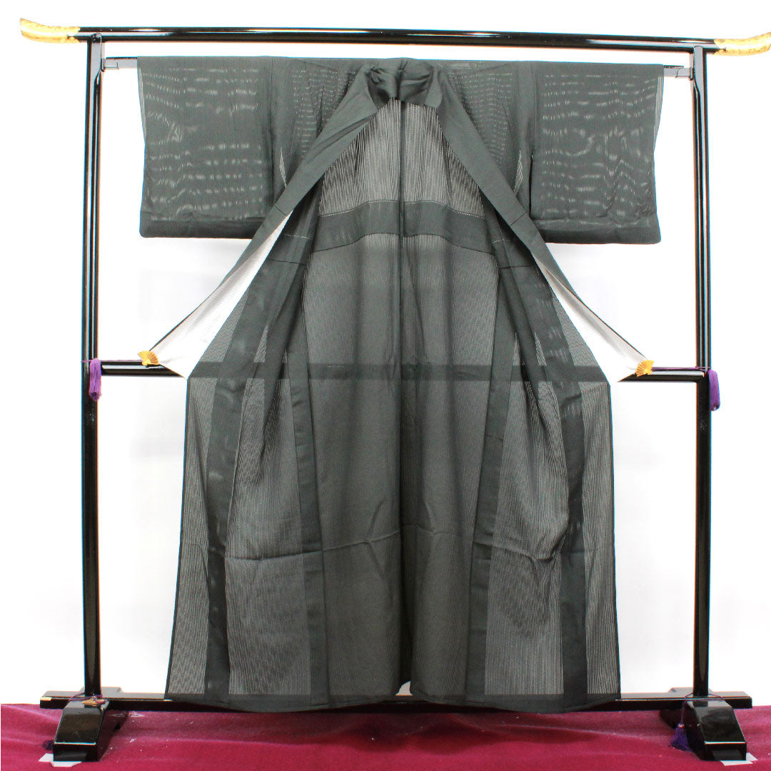 夏物 正絹 訪問着 身丈156.5cm 裄丈63cm  竪絽（たてろ） 蛍  絽 Sランク 黒系 1132001102310