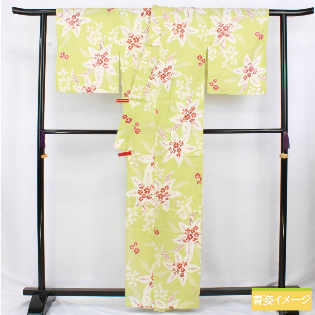 Cotton Yukata, Length 161.5cm, Sleeve Length 66cm, S Rank, Single Layer, Green, Wakame-iro (Wakame-iro) with Lily and Cosmos Designs, 1118006382419