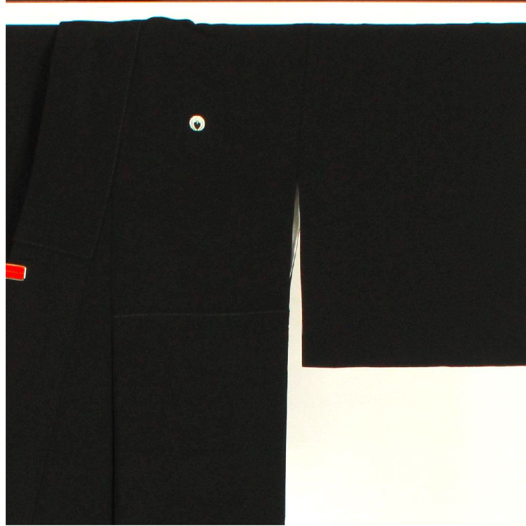Black formal kimono, length 161.5cm, sleeve length 66cm, lined, artist's work, landscape pattern, hanging wisteria, pure silk, A rank, five crests, black, 1111000353410