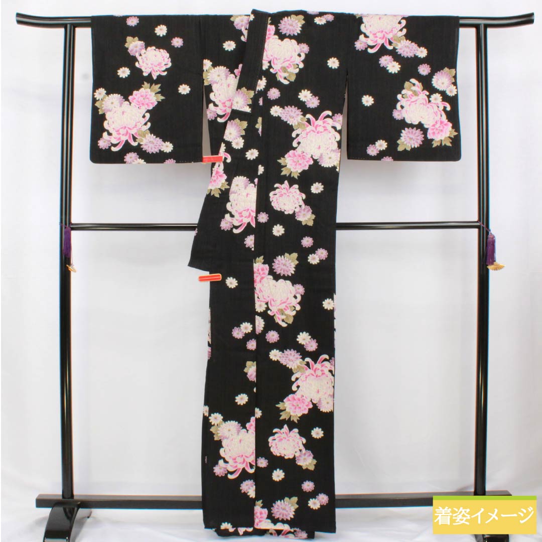 Cotton Yukata, Length 164cm, Sleeve Length 69.5cm, S Rank, Single Layer, Black, Chrysanthemum Design, 1118006282410