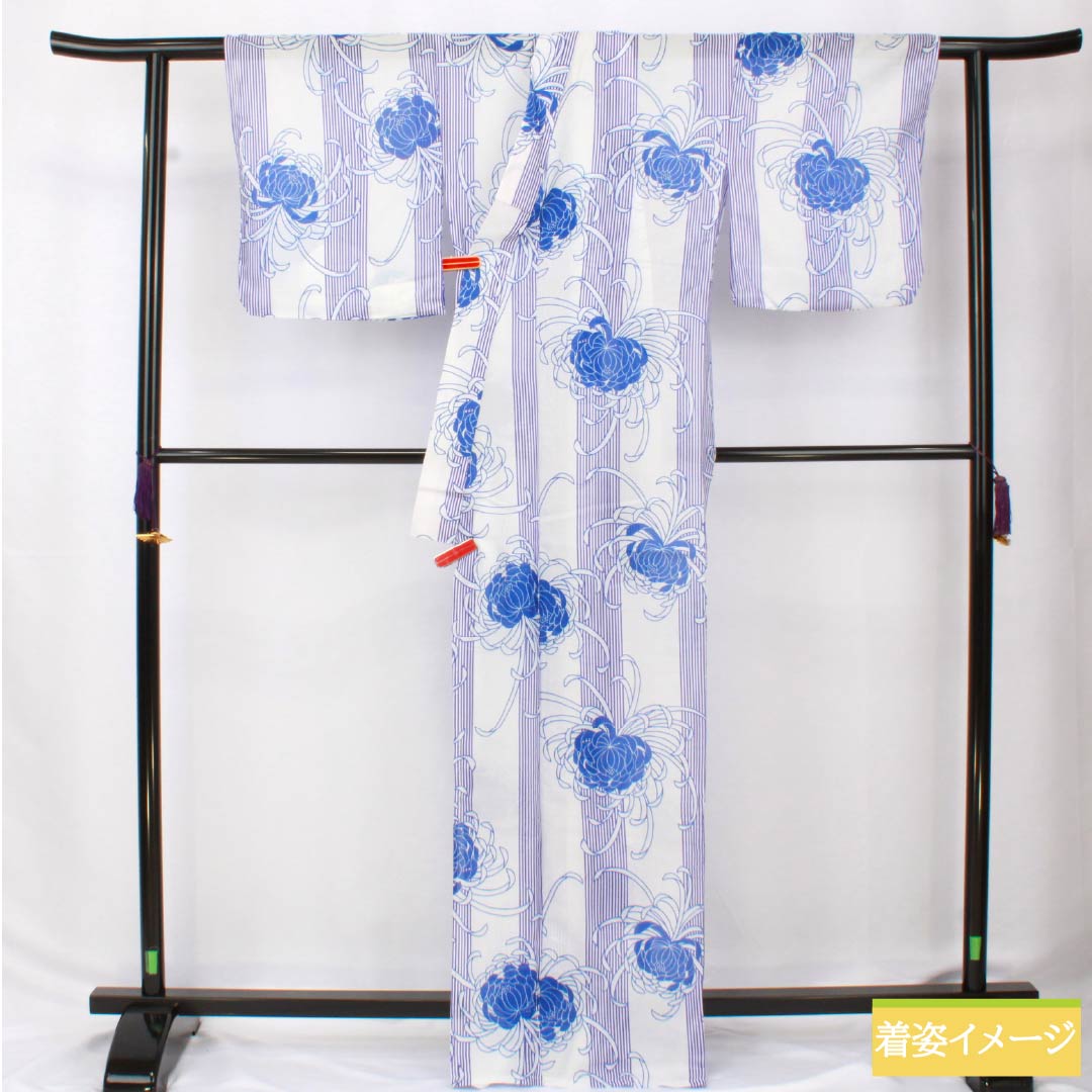 （新品未使用品） 浴衣 ポリエステル 身丈167cm 裄丈65.5cm NEWランク 単衣 白系 白色（しろいろ） 糸菊 経縞 1118005761511