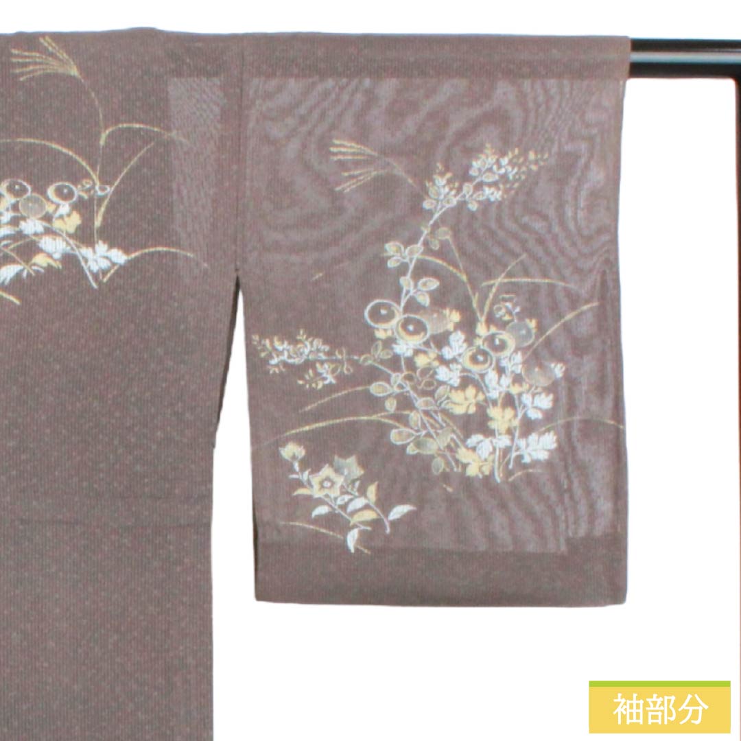 夏物 正絹 訪問着 Bランク 身丈165.5cm 裄丈65cm 都鼠色（みやこねずいろ） 京友禅 タタキ染 秋草 絽 茶系 1132005104514