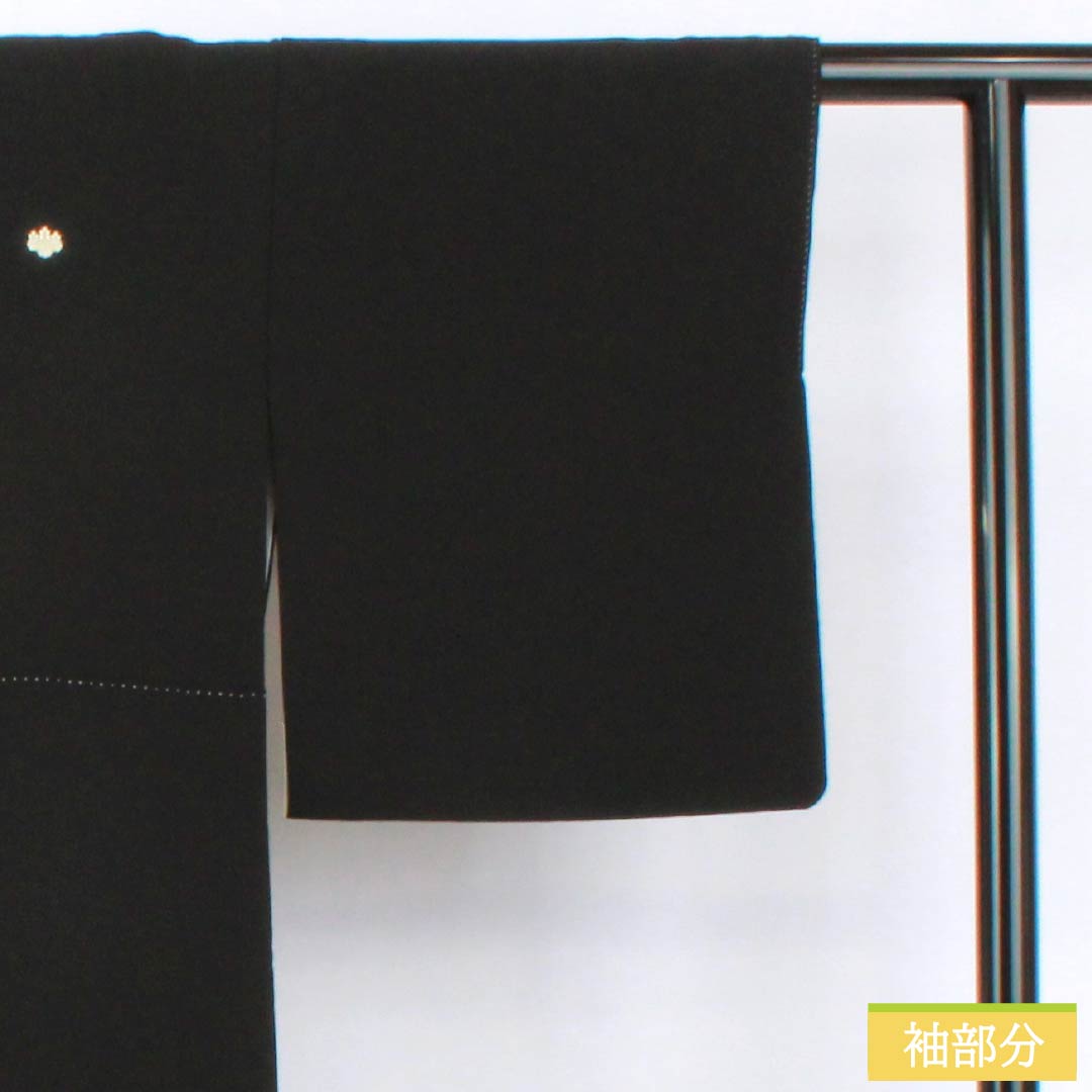 Black Tomesode (Tomesode) - Pure Silk, Rank B, Length 157cm, Sleeve Length 64.5cm, Lined, Five Crests (Gosan-kiri), Designed with a Paulownia Pattern, Crane, Pine, and Flowing Water - Black, Item Number: 1111001914310