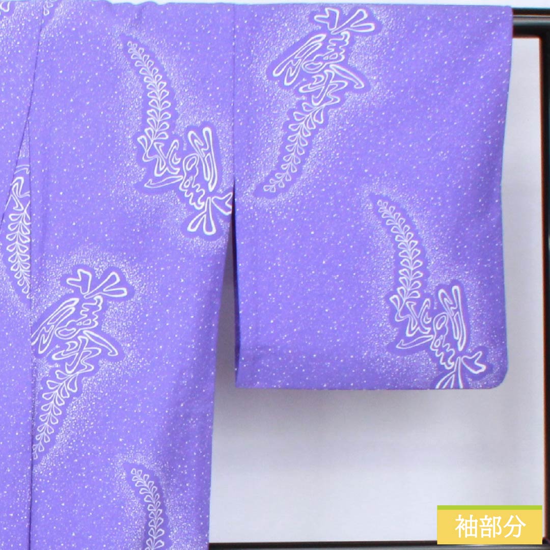 Komon (small pattern) kimono, polyester, length 161.5cm, sleeve length 65.5cm, single layer, iris-colored (kakitsubatairo) with wisteria pattern, washable, S rank, purple, product number 1115006042420