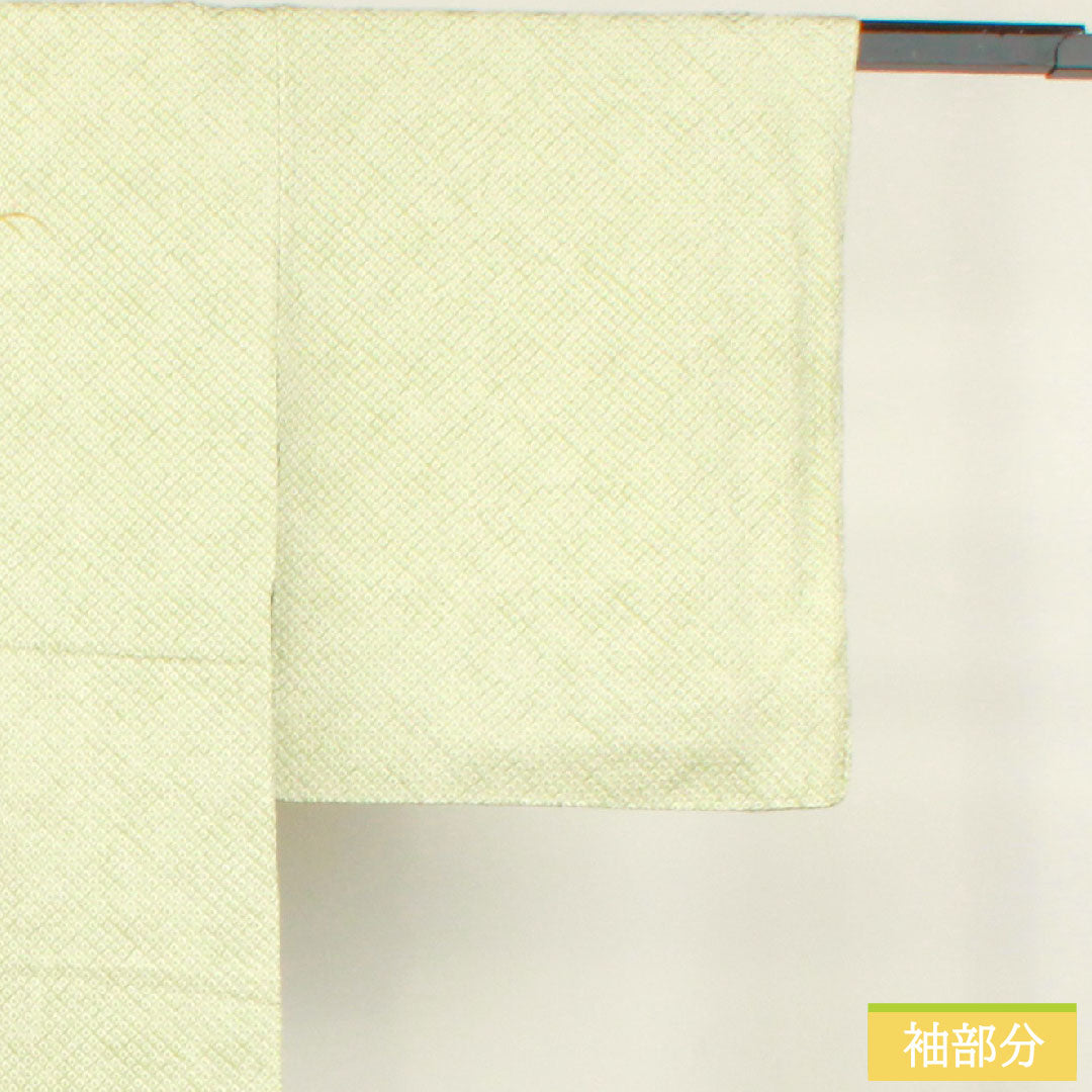 Homongi, pure silk, lined, length 165cm, sleeve length 69cm, light green, all-dyed, embroidery, basting thread included, unused, S rank, green, 1112004182519