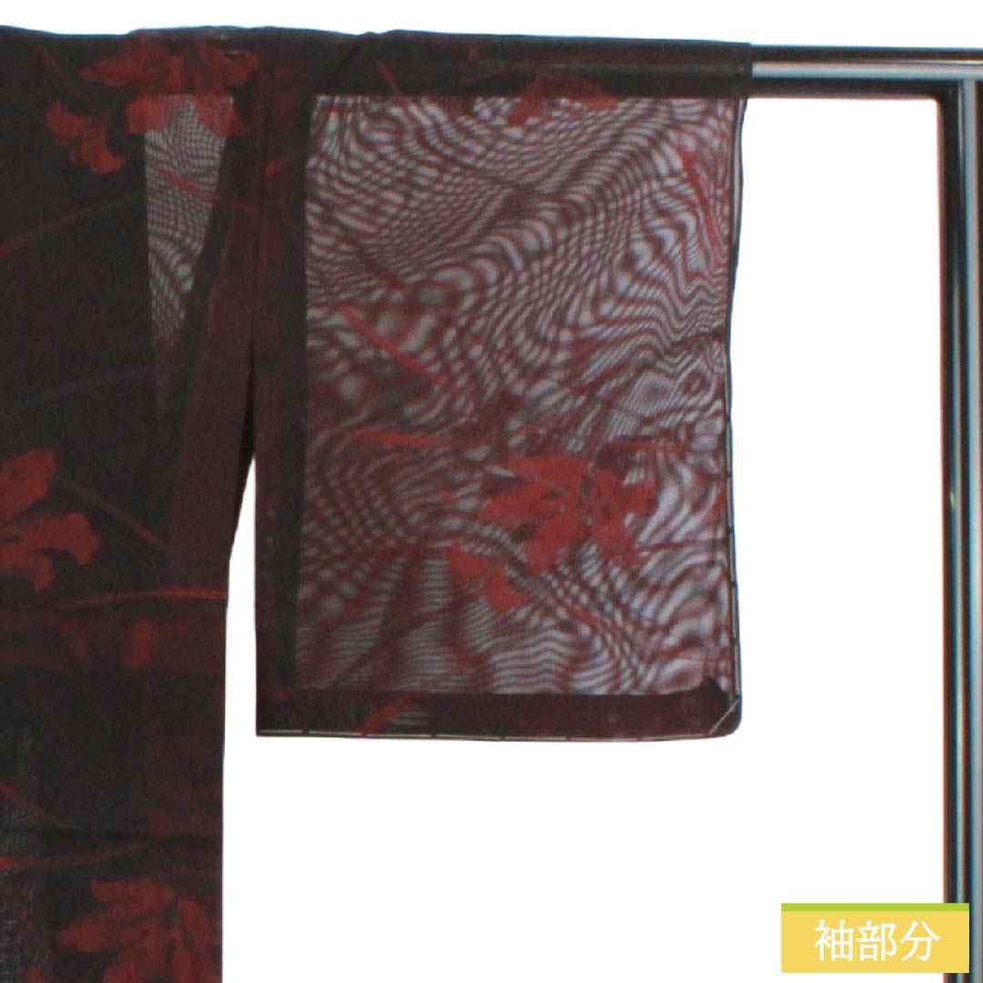 夏物 正絹 お召 Bランク 身丈155.5cm 裄丈62.5cm 暗紅色（あんこうしょく） 露芝 草花模様 紗 赤系 1132004264312