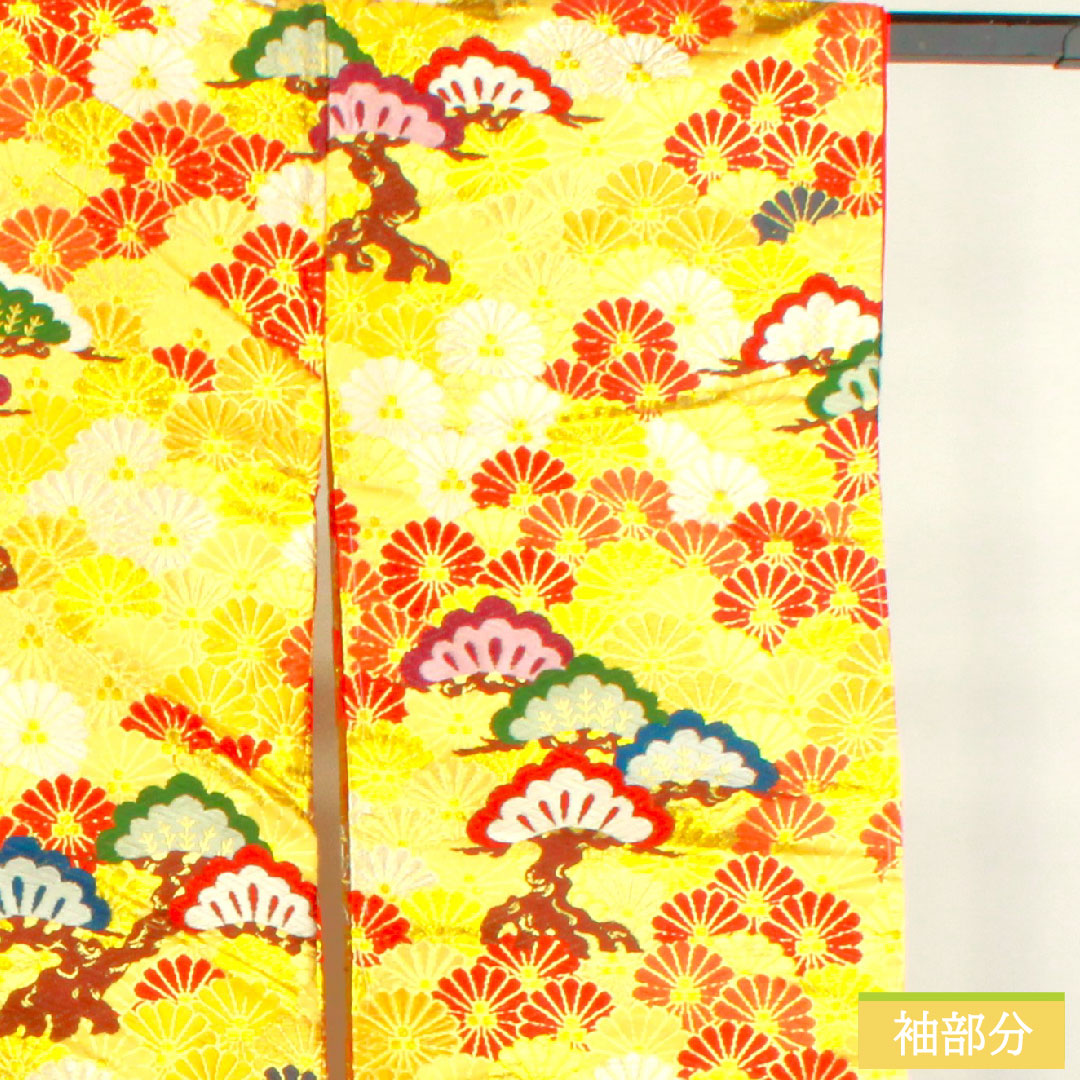 Colored uchikake, pure silk, length 190cm, sleeve length 66cm, Karaori, pine and chrysanthemum, with basting thread, unused, S rank, lined, gold, 1110000852921
