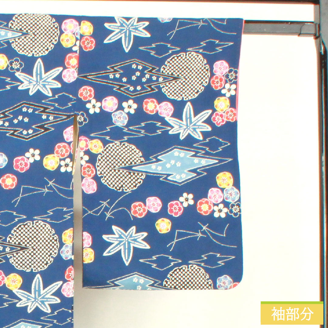 小紋 正絹 身丈162cm 裄丈65cm 袷 鉄葡萄色（てつぶどういろ） 京紅型 吉祥文様 Aランク 紺系 1115004453418