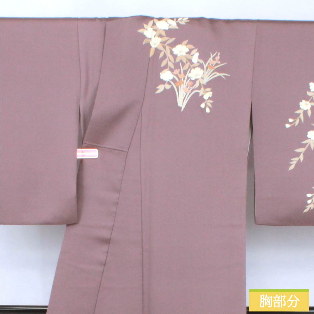 Formal kimono, pure silk, rank B, lined, length 164cm, sleeve to sleeve 64.5cm, reddish gray, Kyo-Yuzen, one crest, plants, purple tones, 1112007044420