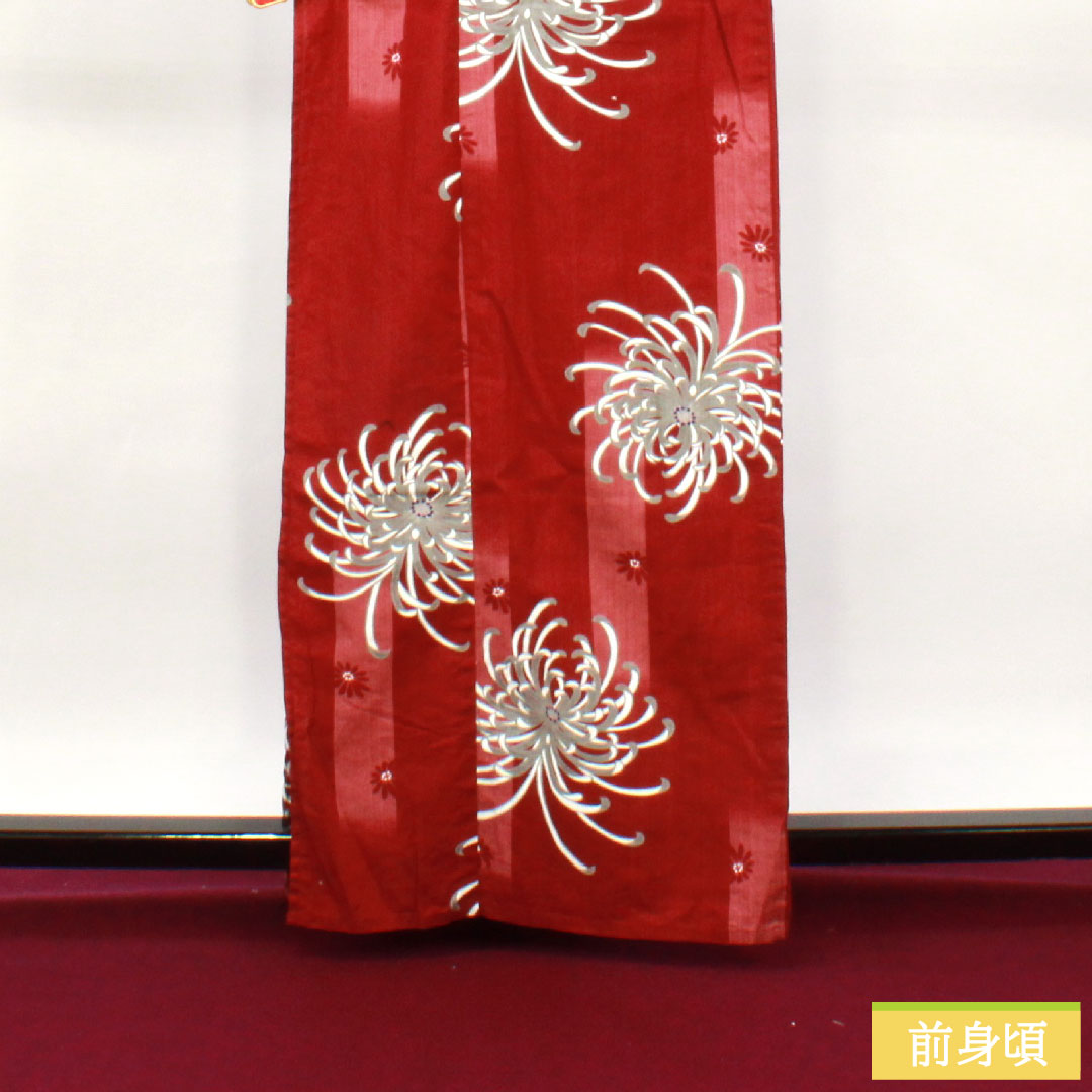 浴衣 木綿 身丈163.5cm 裄丈69.5cm Sランク 単衣 赤系 真紅色（しんくいろ） 菊 1118005132412