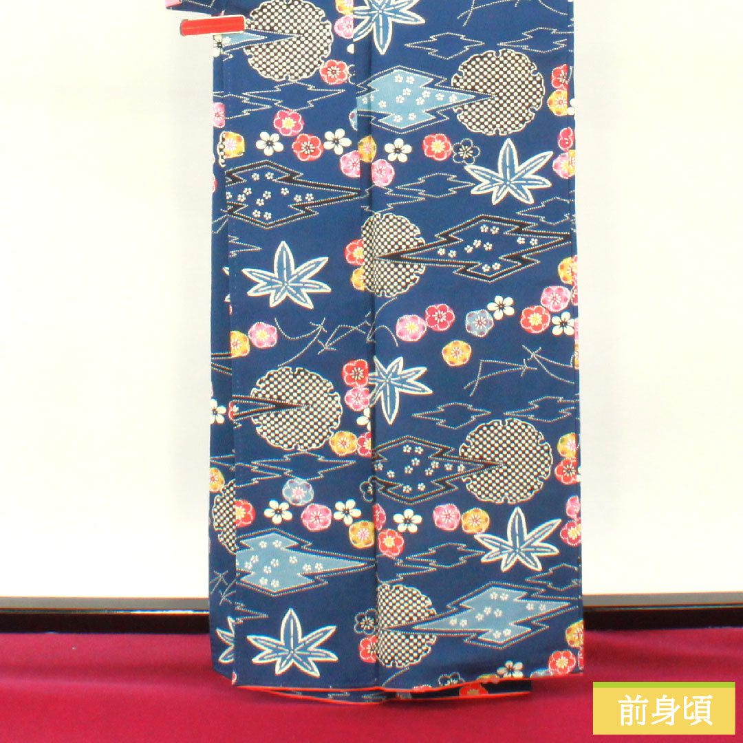 小紋 正絹 身丈162cm 裄丈65cm 袷 鉄葡萄色（てつぶどういろ） 京紅型 吉祥文様 Aランク 紺系 1115004453418
