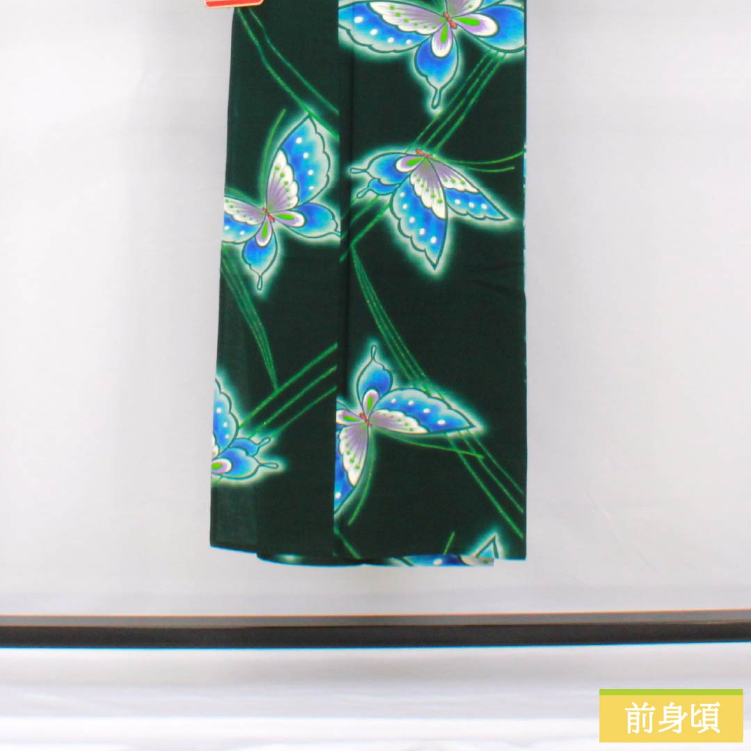 浴衣 木綿 身丈144cm 裄丈65cm Sランク 単衣 緑系 深緑色（ふかきみどりいろ） 蝶 1118005332119