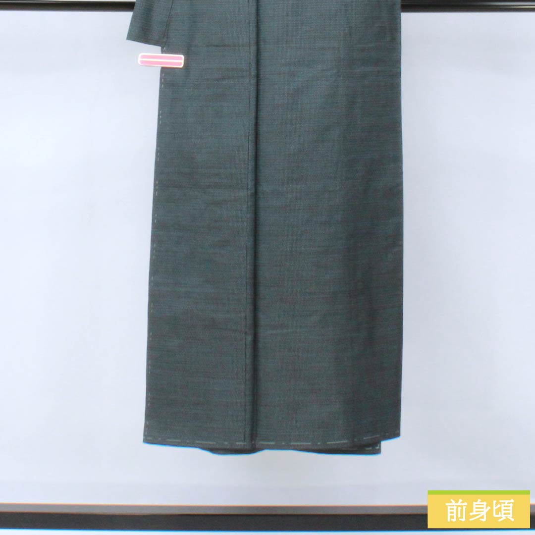 Men's Silk S-Rank Oshima Tsumugi 100 Tortoiseshell Ensemble, Lined, Blue, Length 141cm, Sleeve Length 67.5cm, Back Color (Urai-iro), Product Code: 1119001392417