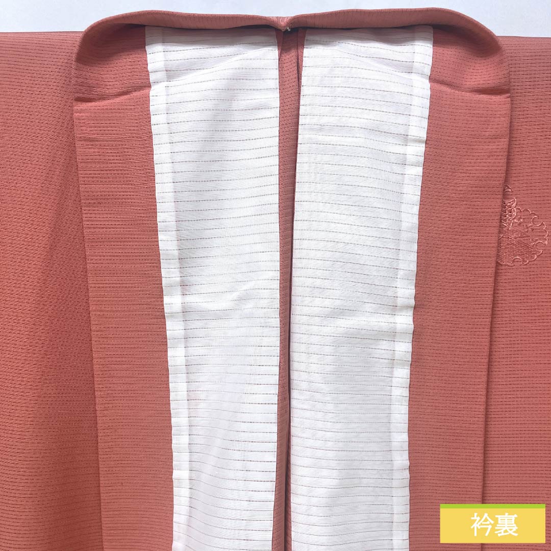 夏物 正絹 訪問着 身丈157cm 裄丈64.5cm 紅梅色（こうばいいろ） 汕頭刺繍 雪輪 付下げ 絽 Sランク ピンク系 1132002012313