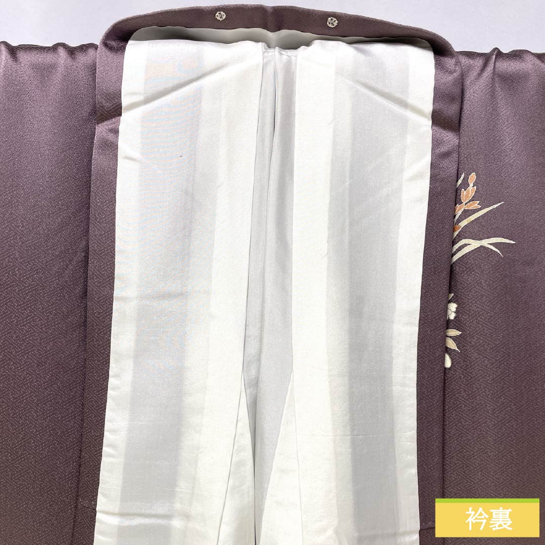 Formal kimono, pure silk, rank B, lined, length 164cm, sleeve to sleeve 64.5cm, reddish gray, Kyo-Yuzen, one crest, plants, purple tones, 1112007044420
