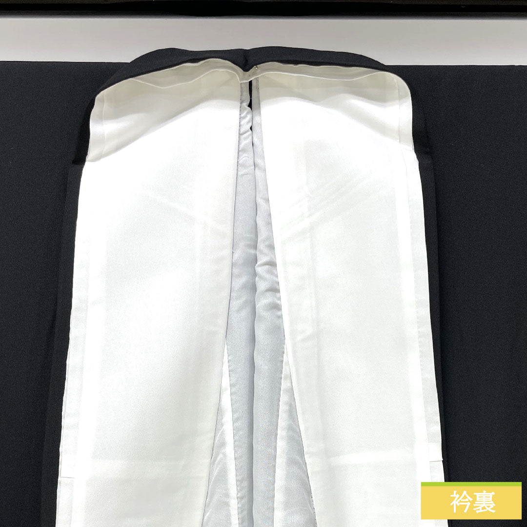 黒留袖 正絹 身丈162cm 裄丈66cm 袷  京友禅 風景模様 五つ紋 沢瀉 しつけ糸付き 未使用品 Sランク 五つ紋 黒系 1111001252410