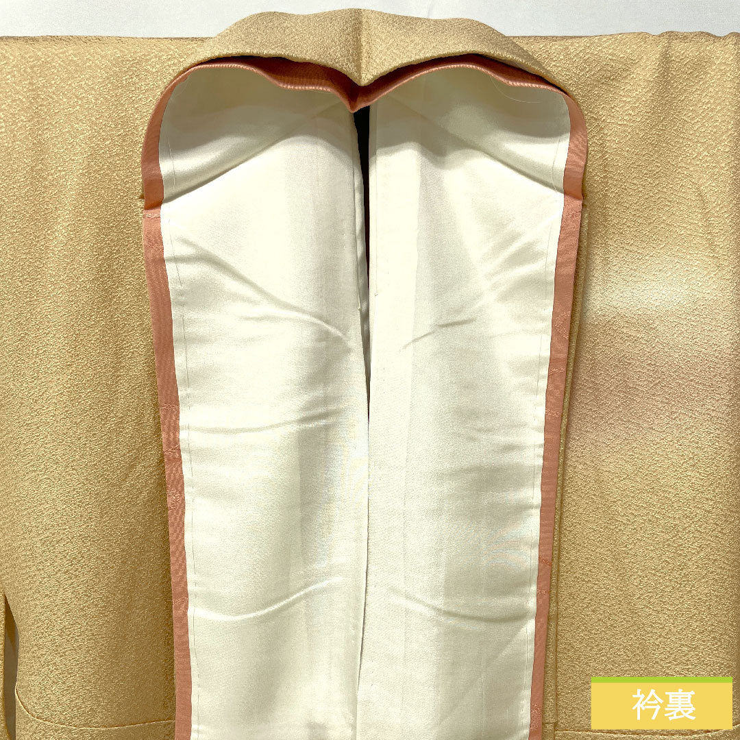 Homongi, pure silk, lined, length 162.5cm, sleeve length 64cm, koji-iro, Kyo-yuzen, tsukesage, plum, S rank, beige, 1112005292425