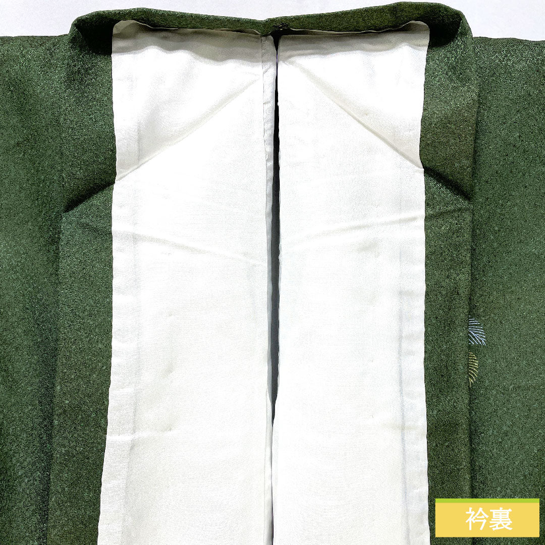 Homongi (formal kimono) made of polyester, lined, length 165cm, sleeve length 63cm, indigo sea pine brown, washable kimono, Matsuba, A rank, green, 1112005843519