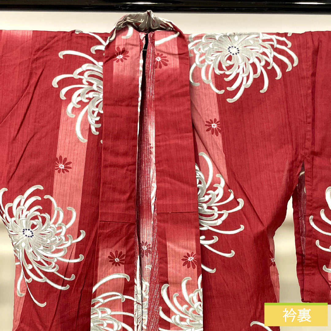 浴衣 木綿 身丈163.5cm 裄丈69.5cm Sランク 単衣 赤系 真紅色（しんくいろ） 菊 1118005132412