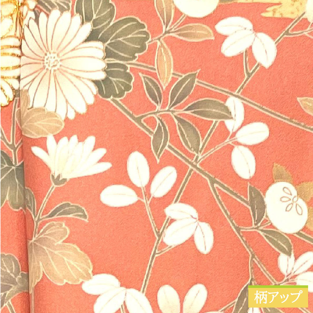 Homongi, pure silk, lined, length 158.5cm, sleeve length 64.5cm, Choshun-iro (Choshu-iro), Kyo-Yuzen, cherry blossom, chrysanthemum, flowing water, auspicious motif, S rank, pink, 1112004442313