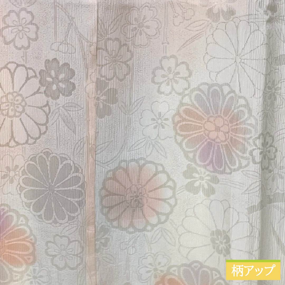 長襦袢 正絹 Sランク 身丈119cm 裄丈61.5cm 単衣 乙女色（おとめいろ） ぼかし染 菊 半衿付き ピンク系 1129000842113