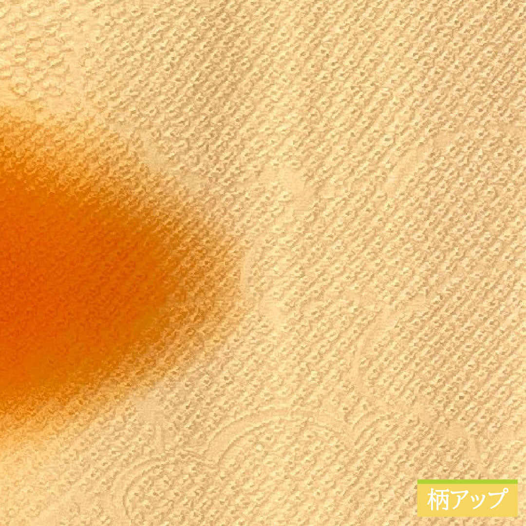 色無地 正絹 身丈164cm 裄丈64.5cm 朱華色（はねずいろ） ボカシ模様 袷 Sランク 橙系 1114001562426