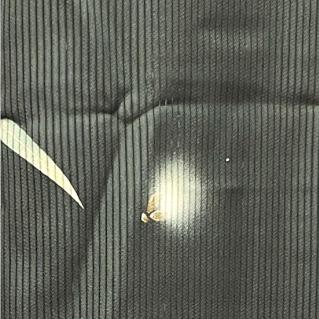 夏物 正絹 訪問着 身丈156.5cm 裄丈63cm  竪絽（たてろ） 蛍  絽 Sランク 黒系 1132001102310
